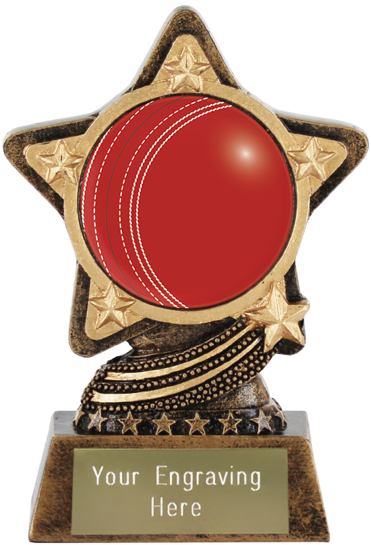Infinity Stars Trophies - Centre Cricket Ball Trophy by Infinity Stars 10cm (4")